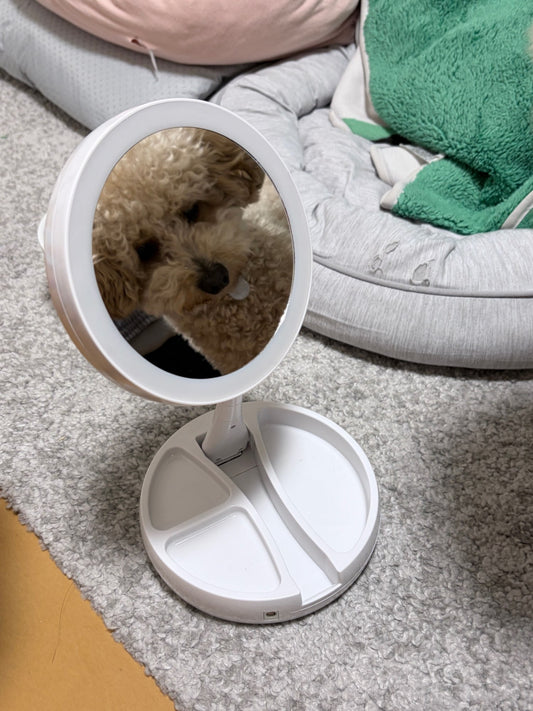 LED Makeup Mirror